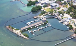 An ariel view of the campus