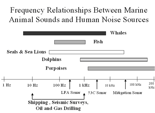 Hearing frequency between mammals