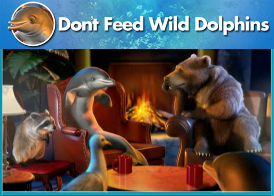 Don't Feed Wild Dolphins Public Service Announcement