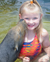 Adopt a dolphin or sea lion.
