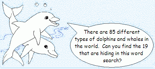 Dolphin drawings say: 'Can you find the 19 different types of Dolphins in the wordsearch'