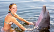 Woman wading with dolphin (Quicklink Item)