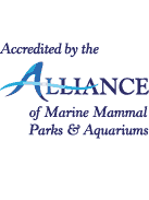 Alliance of Marine Mammal Parks & Aquariums logo