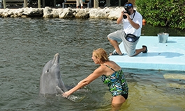 A photographer taking pictures of a guest wading with a dolphin