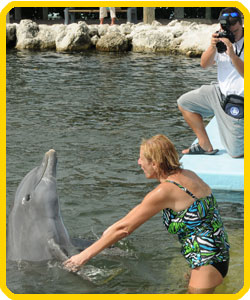 Let us capture your fintastic dolphin memories.