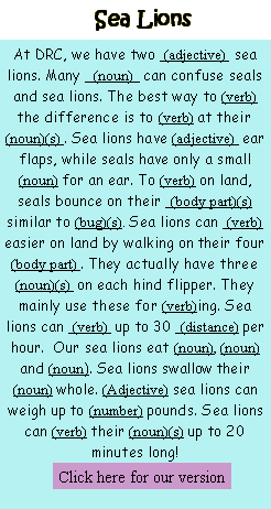 Wacky words with sea lions.