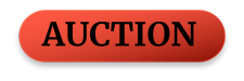 Auction Button