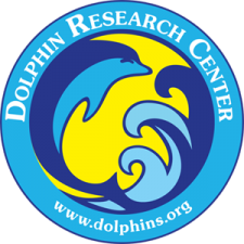 (c) Dolphins.org