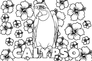 Drawing of Calypso