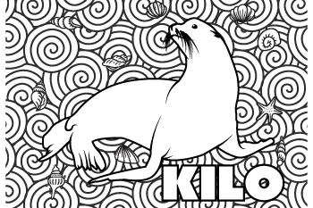 Kilo drawing