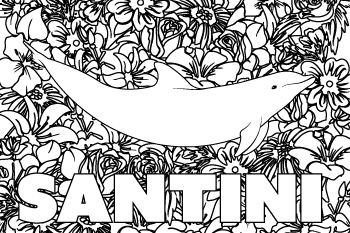Drawing of Santini