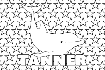 Tanner drawing