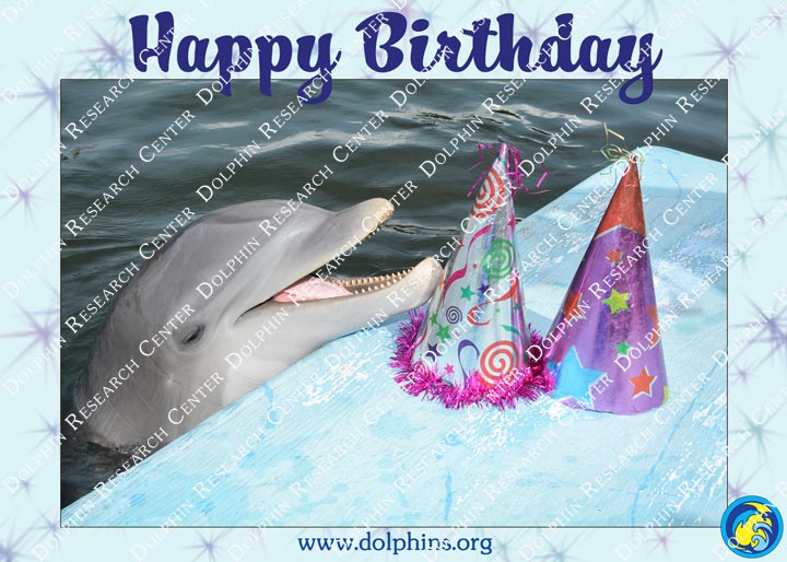 Happy Birthday Card Dolphin 