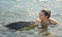 Swim with the dolphins at Dolphin Research Center as part of your one week long educational program.
