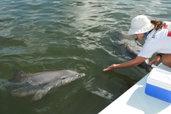 A dolphin trainer plays with our Florida Keys family. 