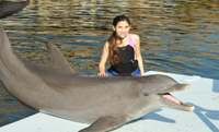 Trainer for a Day guests shadow trainers, play with our animal family, and swim with the dolphins.