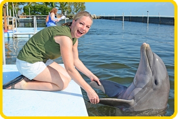 Attendees will love meeting a dolphin or doing another interactive pr