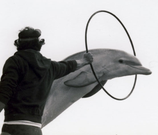 Dolphin Research Center: Grave of Flipper, Marathon, Florida