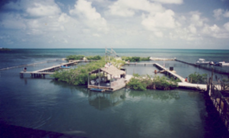 An early aerial view of the dolphin lagoons.