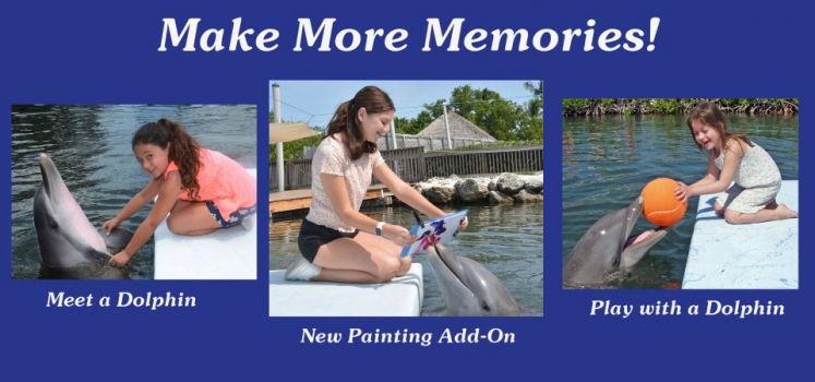 Add a painting option to Meet the Dolphin or Play with a Dolphin for 