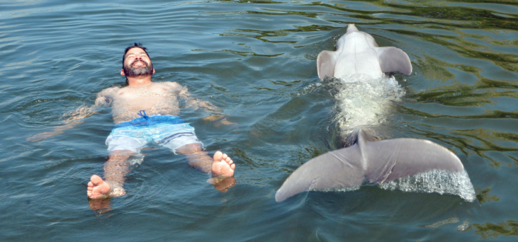 Exclusive Private Dolphin Encounter