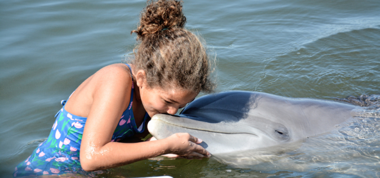 Family Dolphin Splash