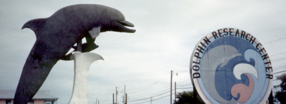 When Dolphin Research Center first began.