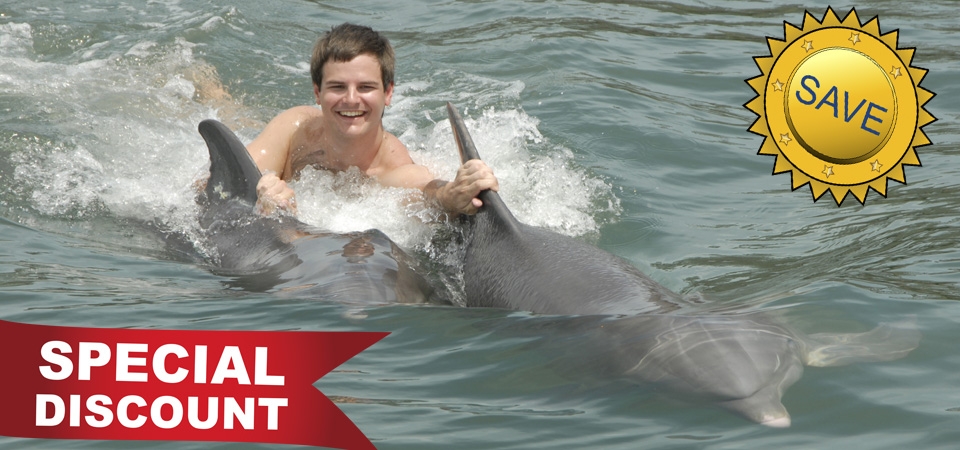Coupon dolphin research