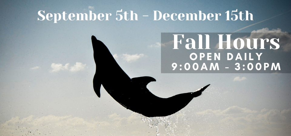 Fall Hours Sept 5-Dec 15 9:00am-3:00pm