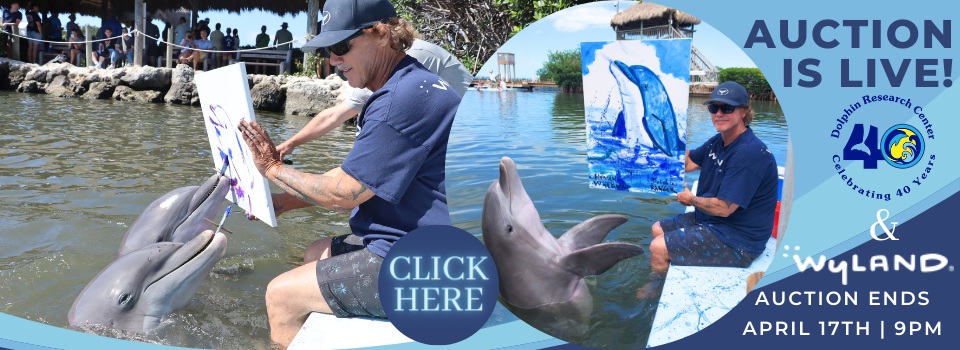 Wyland and DRC Art Auction is live!