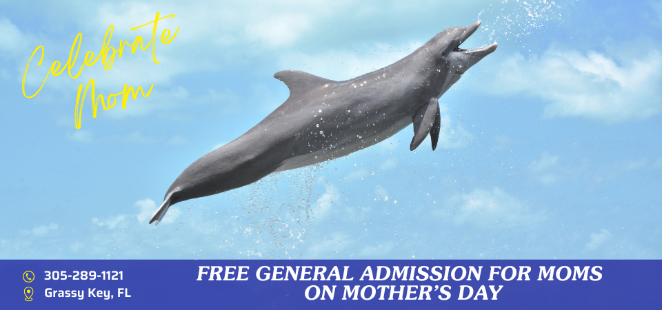 Image for Slide: Make Mom Smile This Mother’s Day—Her General Admission is On Us!