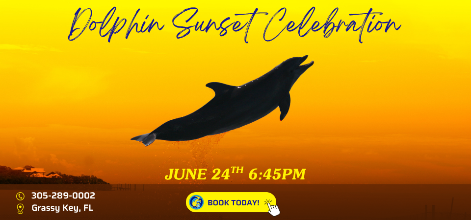Dolphin Sunset Celebration June 24 6:45