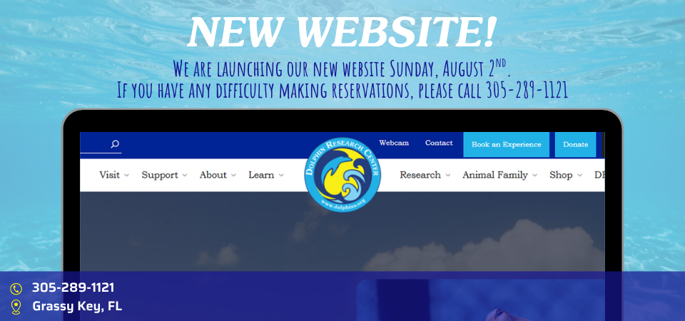 We are launching our new website Sunday, August 2nd.<br />If you have