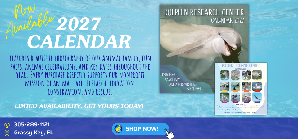 The 2027 Dolphin Research Center Calendar features beautiful photogra