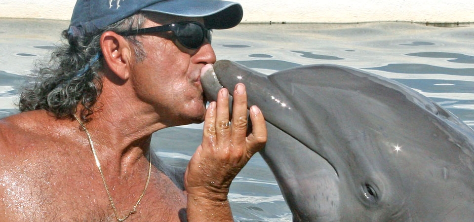 A trainer gets a big kiss from a dolphin
