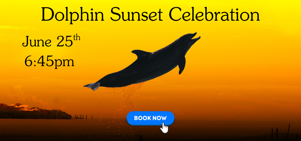 Dolphin Sunset Celebration June 25th at 6:45pm