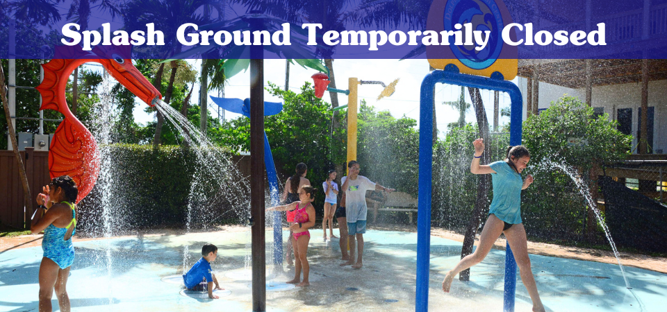 Splash <br />Ground Temporarily Closed