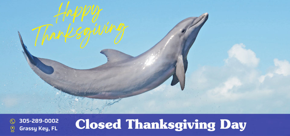 Closed Thanksgiving Day, November 27th