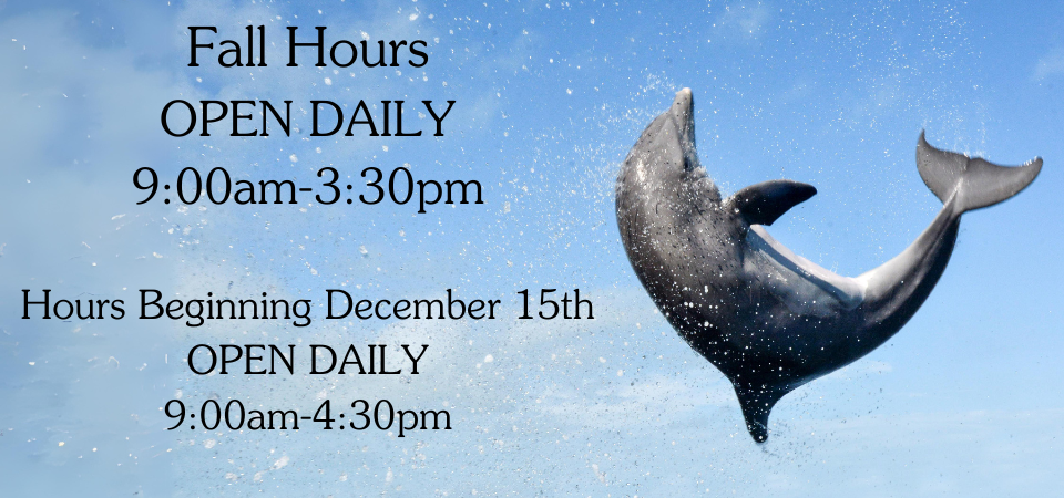 open daily 9:00-3:30