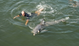 Further exploring dolphin's ability to imitate while blindfolded 