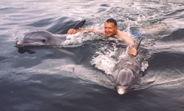 An early Dolphin Encounter structured swim.