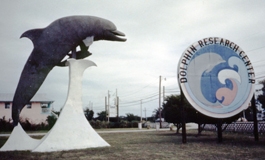 The early landmark statue and sign identifying us as Dolphin Research