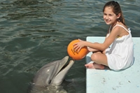 Young guest playing ball with a dolphin