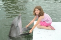 Young guest holding a dolphin's flippers from the dock