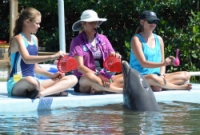 Trainers on the dock with a dolphin in the water
