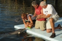 Guests with a trainer on the dock in front of a dolphin