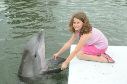 Young guest holding a dolphin's flippers from the dock (Quicklink Detail Item)