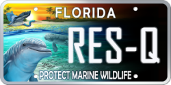 License Plate logo