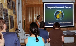 A photo of the dolphin theater with guests listening to a speaker and watching a screen