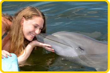 Ariel's family created the Teen DolphinLab Scholarships in her memory.